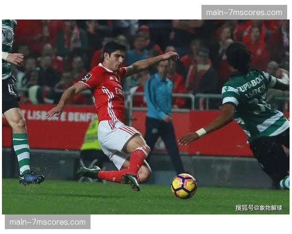 球迷冲入场事件导致本菲卡对阵葡萄牙体育比赛中断15分钟